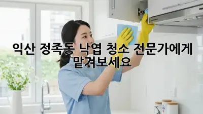 익산 정족동 낙엽 청소, 전문가에게 맡겨보세요!