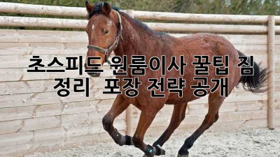 초스피드💨 원룸이사 꿀팁🍯: 짐 정리 & 포장 전략 大공개!