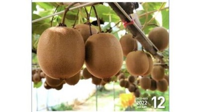 🌿 놓치면 후회! 월간원예 솔직 후기 & 꿀팁 대방출! 🌸