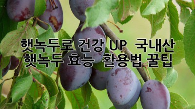 햇녹두로 건강 UP! 💪 국내산 햇녹두 효능 & 활용법 꿀팁 💚