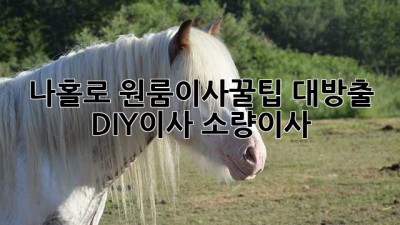 나홀로 원룸이사🏠꿀팁 대방출! #DIY이사 #소량이사