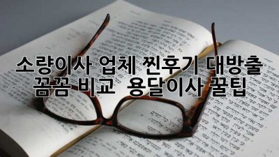 📦 소량이사 업체 찐후기 대방출! 꼼꼼 비교 & 용달이사 꿀팁🍯