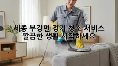 세종 부강면 정기 청소 서비스, 깔끔한 생활 시작하세요!